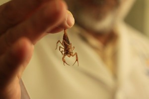 Investigación_1