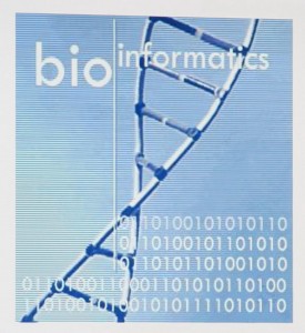 144 BioInformatica 55