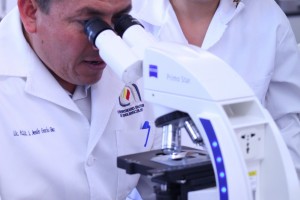 273 Investigacion