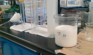 389 GNP Leche4-55