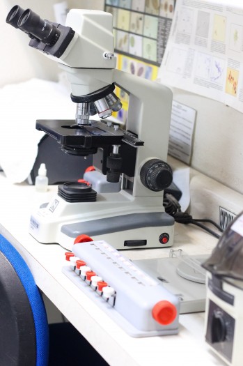 153 Lab Veterinaria-55