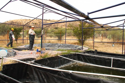 157 Rescate Reproduccion Peces-55