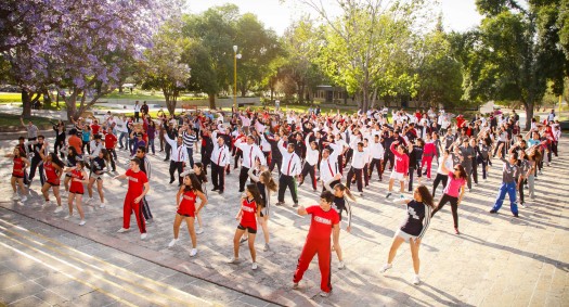 177 Activacion Fisica-2