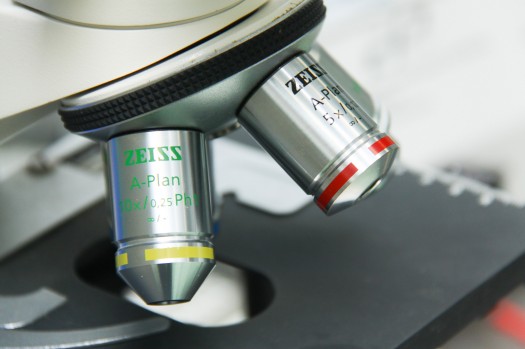 205 Curso Genetica Molecular-55
