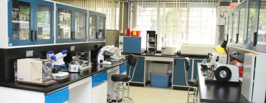 405 Laboratorio Histologia-1