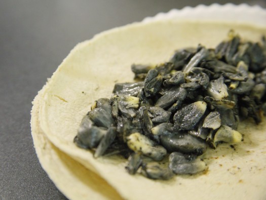 407 Investigacion Huitlacoche-55