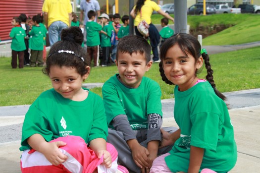 422 Campamento Gallitos