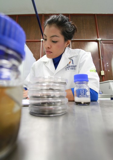 600 Investigacion Alergias