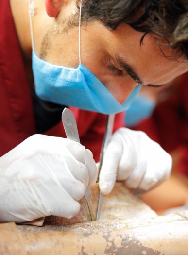 610 Confe Analisis Quimico C Forenses-1