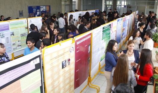 715 Miniproyectos Investigacion