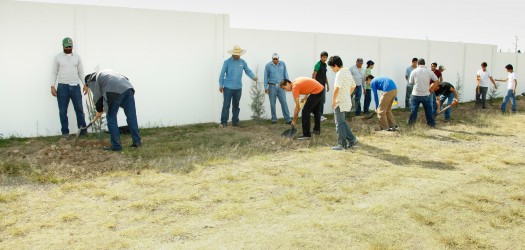 781 Reforestacion CEM Oriente-1