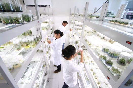 142 Convoca Proyectos Investigacion