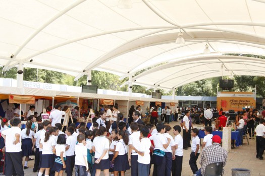 264 Expo Municipios