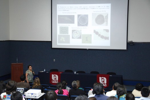 272 Reunion Soc Mex Planctologia