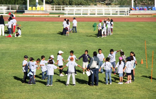 302 Campamento Pollitos