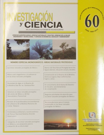 333 Revista Investigacion Ciencia