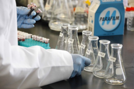 354 Investigacion Acorde Pais