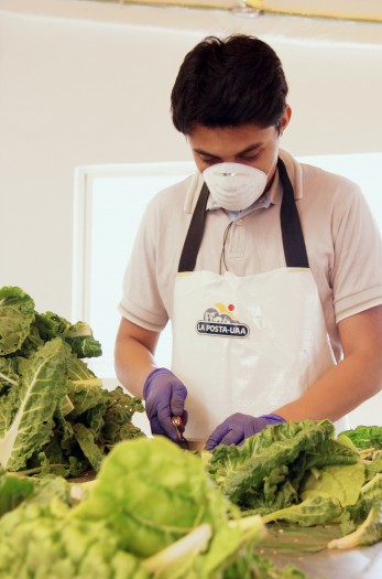 361 Practicas en el Extranjero