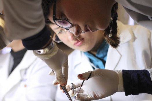 387 Becas para Investigacion
