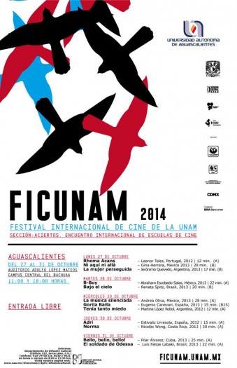 536 FICUNAM