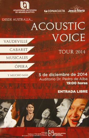 615 Acoustic Voice