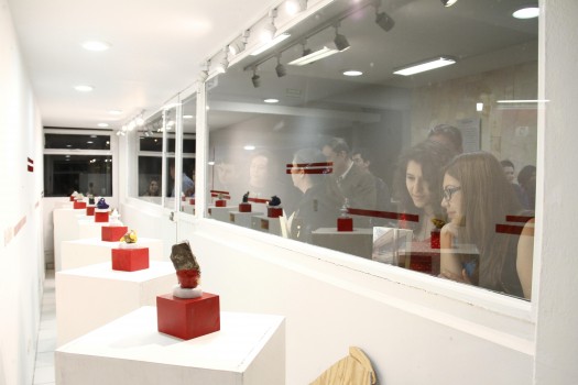 077 Galeria 9-2 Mtr Cuadrados