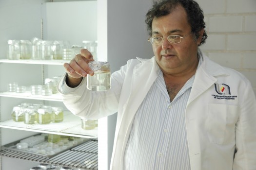 288 Monitoreo Aguas con Invertebrados Acuicolas