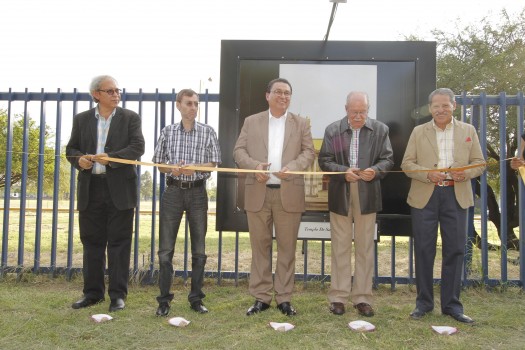 305 Galeria Peatonal-1