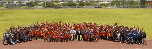 309 Pollitos 2015