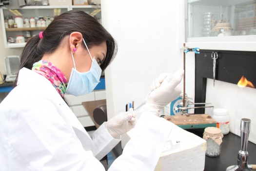 310 Estancias de investigacion