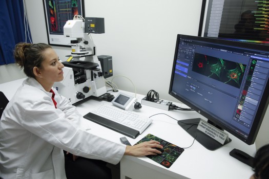 350 Microscopio Con Confocal