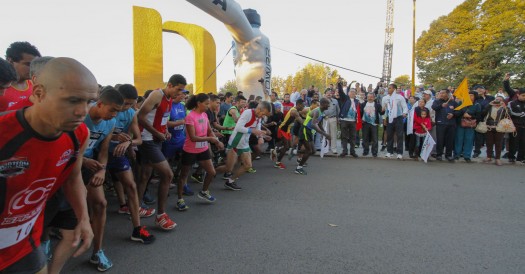 433 Carrera Atletica-1