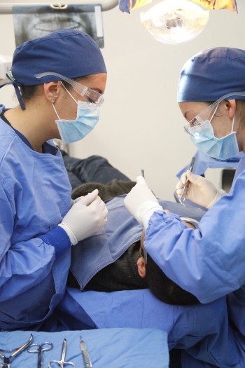 559 Clinica Estomatologia