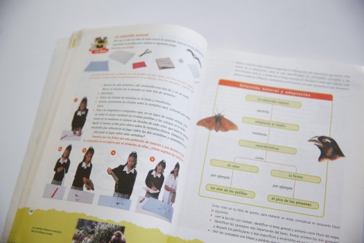 560 Libros de Texto Gratuitos