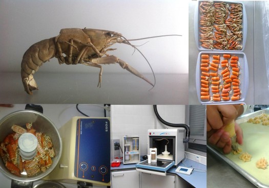 027 Pastisetas con Glucosamina