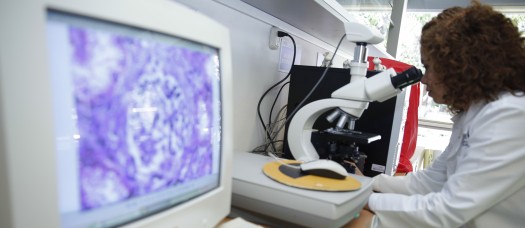 117 Parasitologia