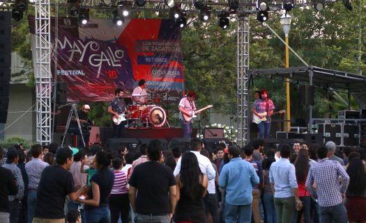239 Mayo gallo_2