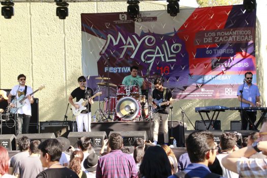 239 Mayo gallo_4