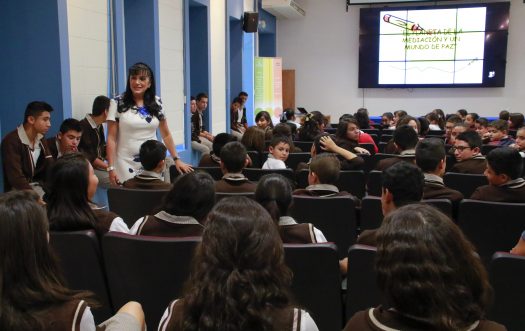 256 Viernes Ciencia Mediacion-2