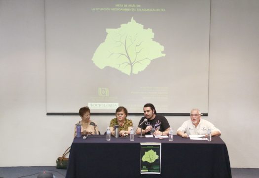 267 Situación medioambiental_1