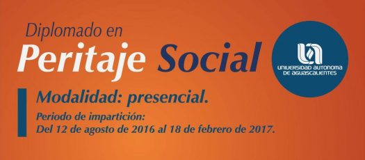 325 Peritaje Social