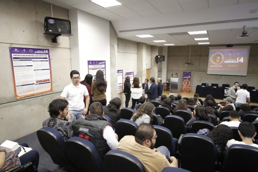584-muestra-inv-economica