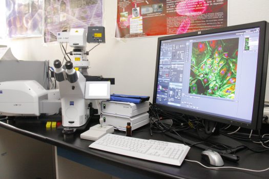 596-investigacion