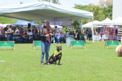 Feria-uaa-IMG_2154