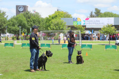 Feria-uaa-IMG_2158