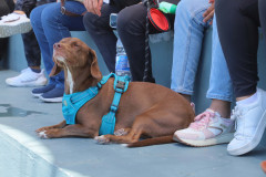 Feria-uaa-IMG_2212