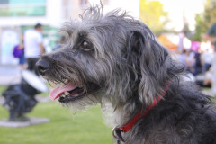 SS-Generales-Sabado-IMG_5668
