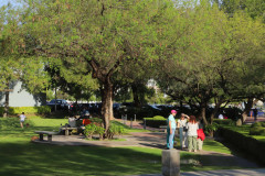 Feria-uaa-IMG_2610