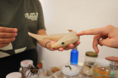 Feria-uaa-IMG_3676