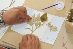 Feria-uaa-IMG_3707